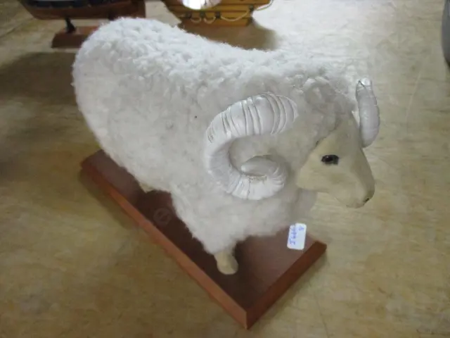 Sheep Image 1++