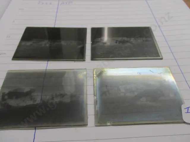 Glass Negatives Image 1++