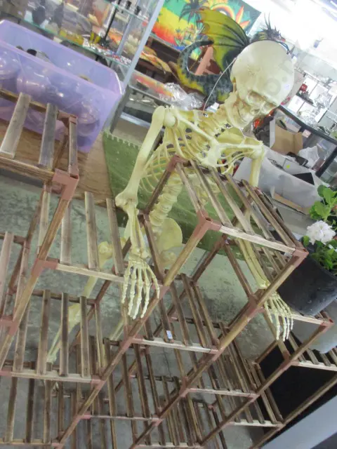Model Skeleton Image 1++