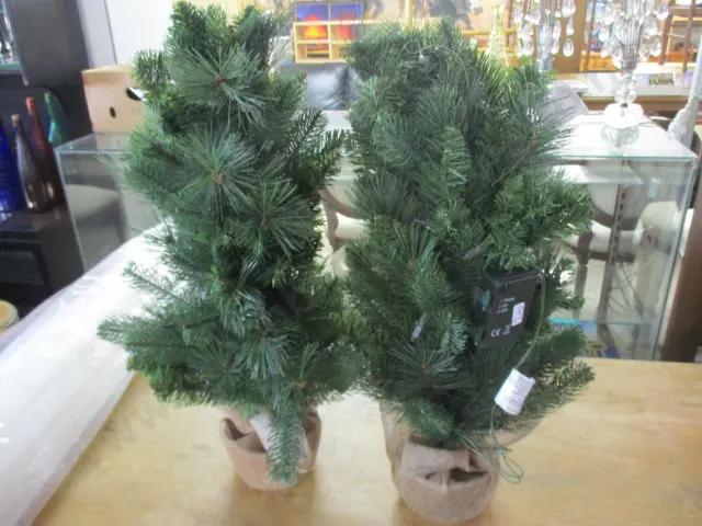 Christmas Trees Image 1++