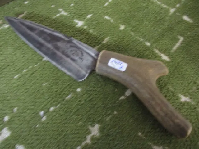 Staghorn Knife Image 1++