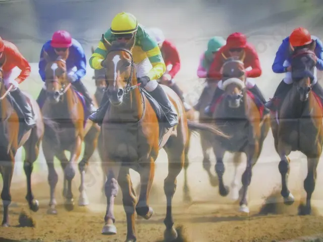 Large Banner Image 1++