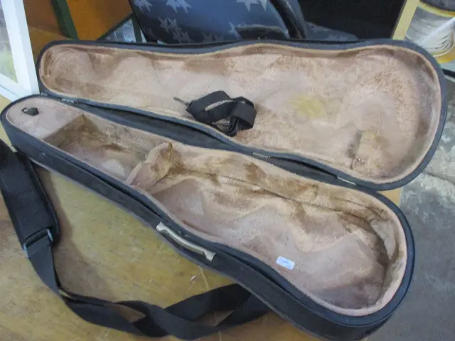 Violin Case Image 1++