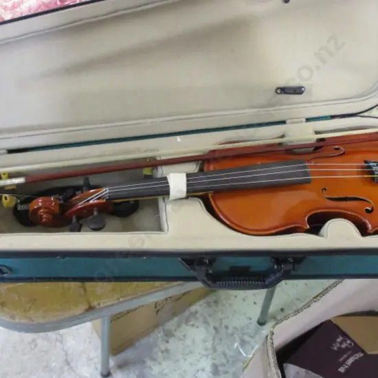 Violin