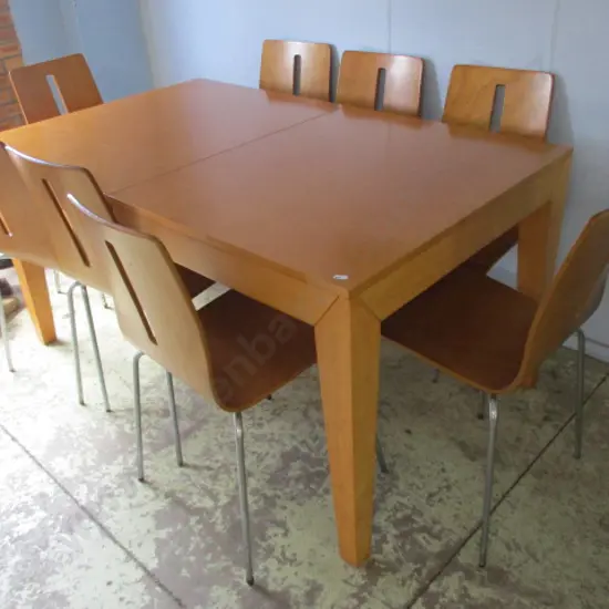 Ext Table and 8 Chairs