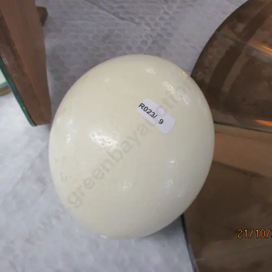 Ostrich Egg