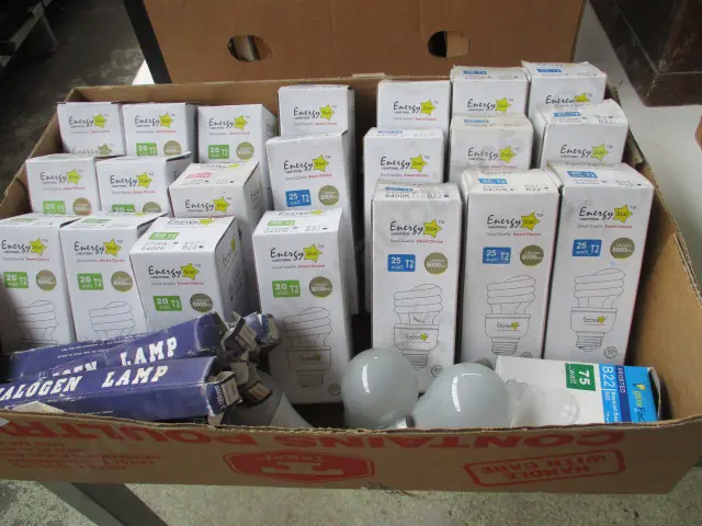 Bulbs Image 1++