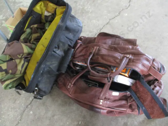 Luggage and Contents Image 1++