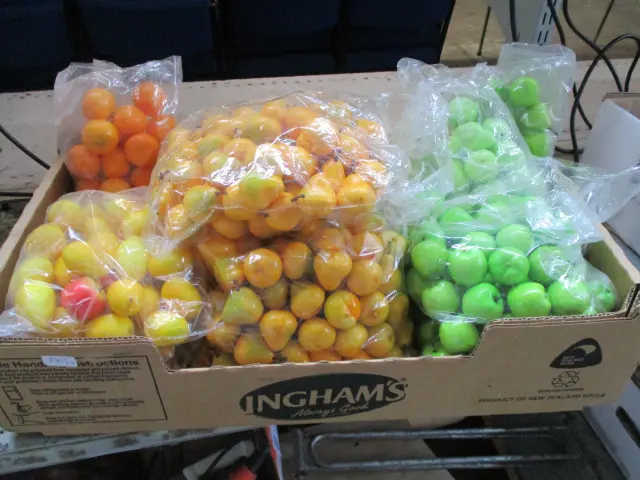 Faux Fruit Image 1++
