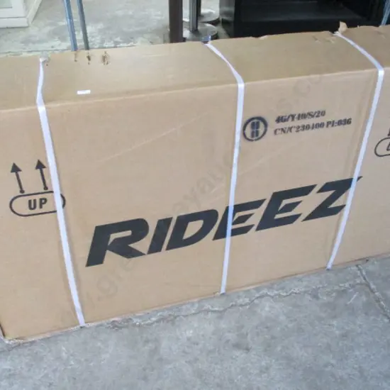 Electric Bike (last one available)