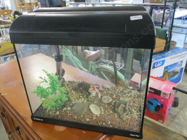 Fish Tank Image 1++