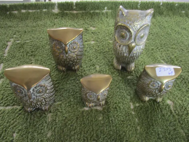 Parliament of Owls Image 1++