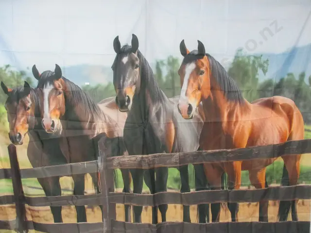 Large Banner Image 1++