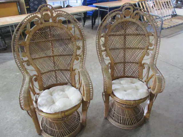 Peacock Chairs Image 1++
