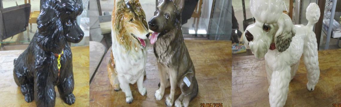 The Genuine Dog Sale